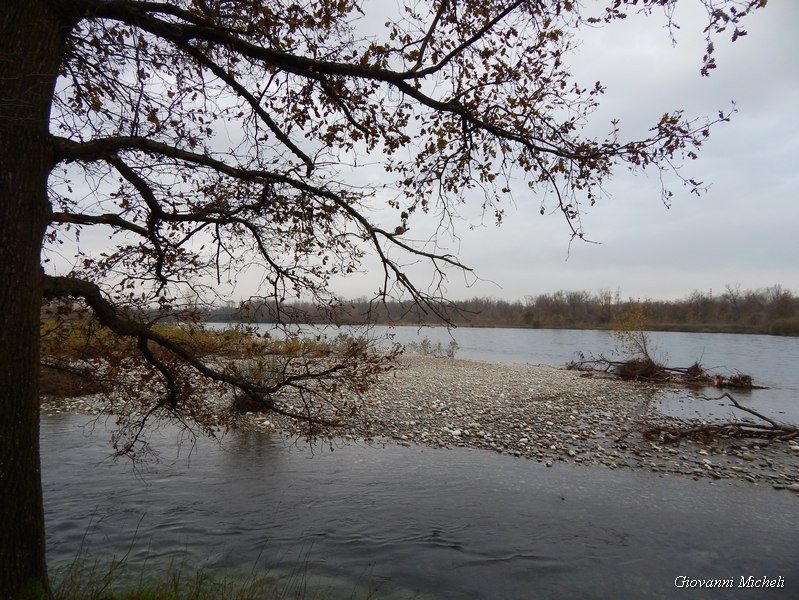 Parco del Ticino 23/11/13